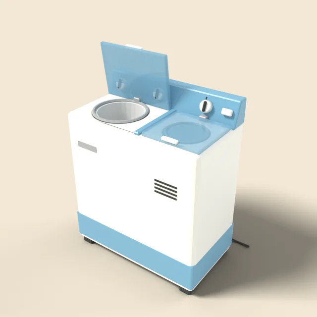 Twin tub washing machine