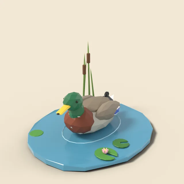 Mallard duck on water