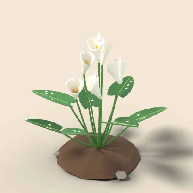 White calla lily cluster