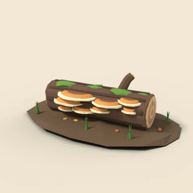 Shelf fungus on log