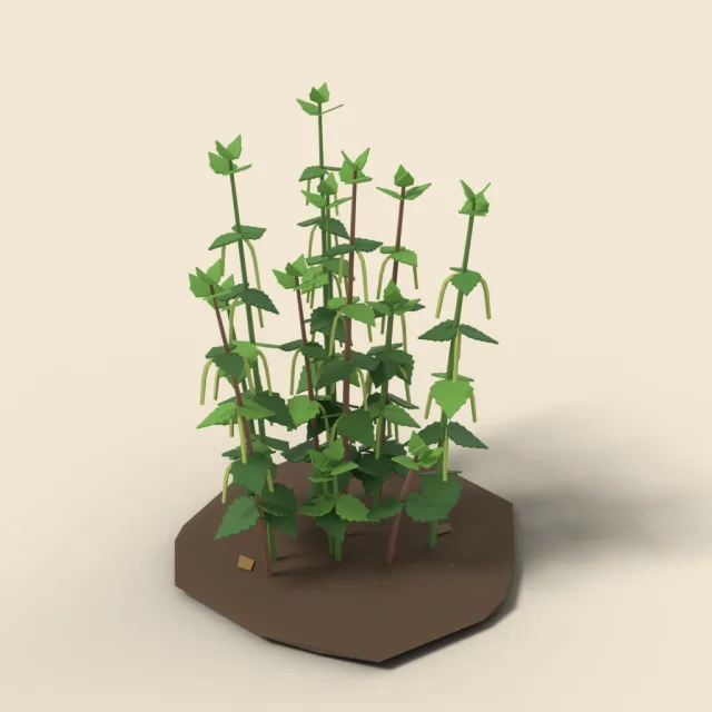 Stinging nettle clump