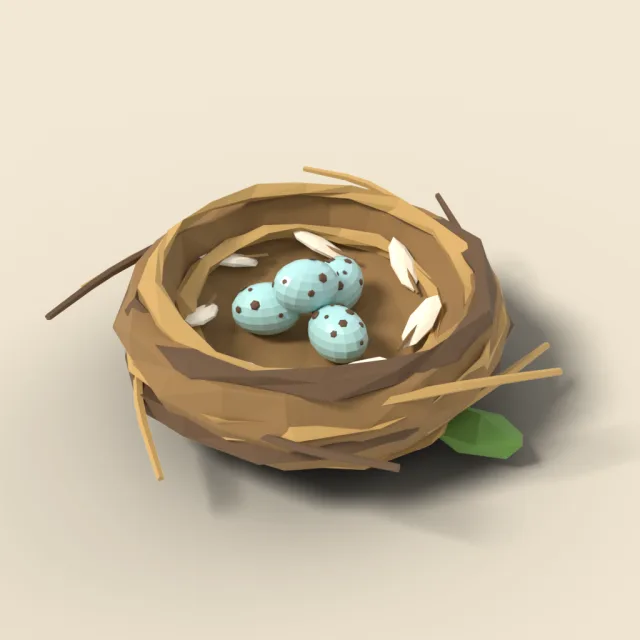 Bird eggs in a nest