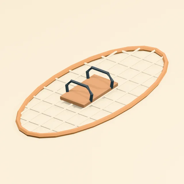 Webbed snowshoe