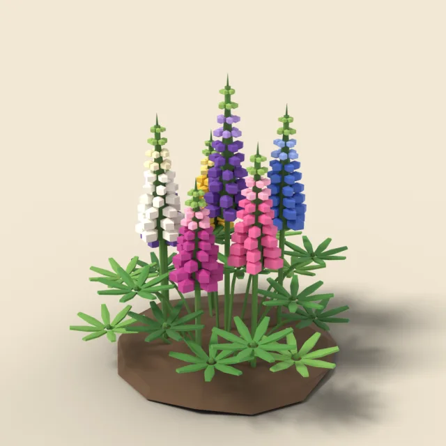 Lupine cluster in mixed colours