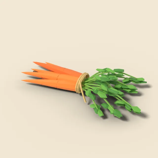 Bunch of carrots with leaves