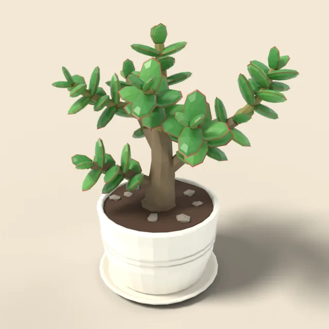 Jade plant in white pot