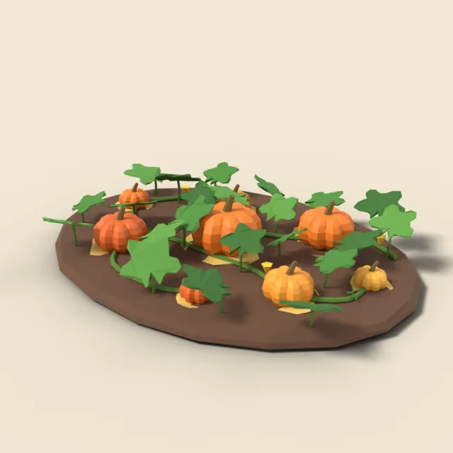 Pumpkin patch with ripe pumpkins