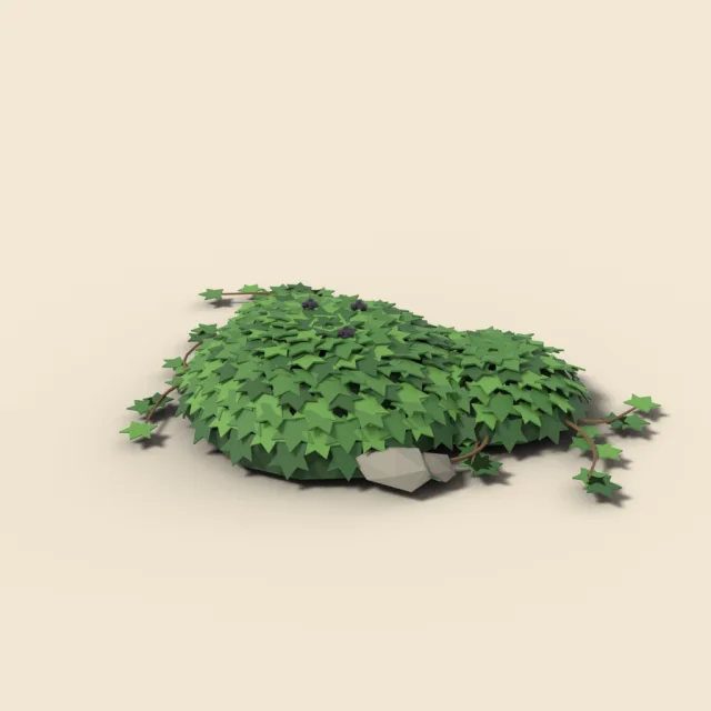 Ivy groundcover mound