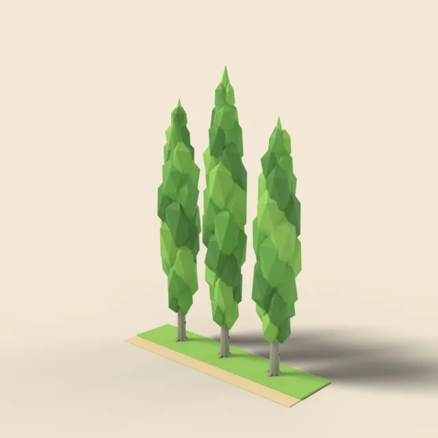 Lombardy poplar row of three