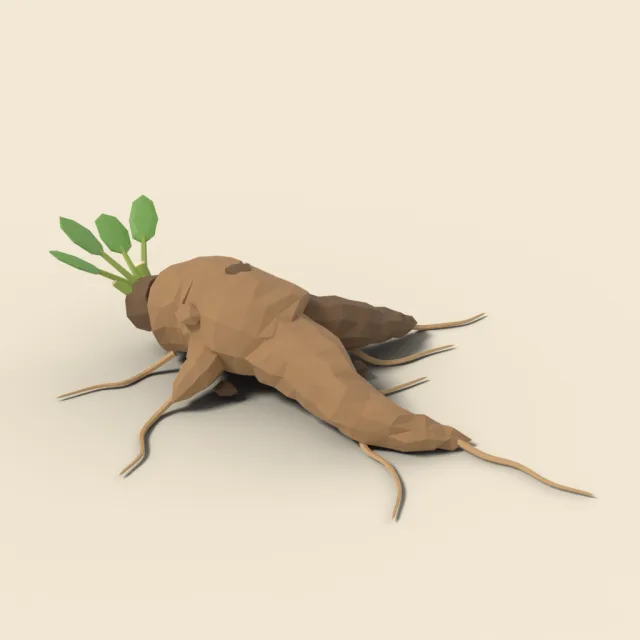 Gnarled root tuber