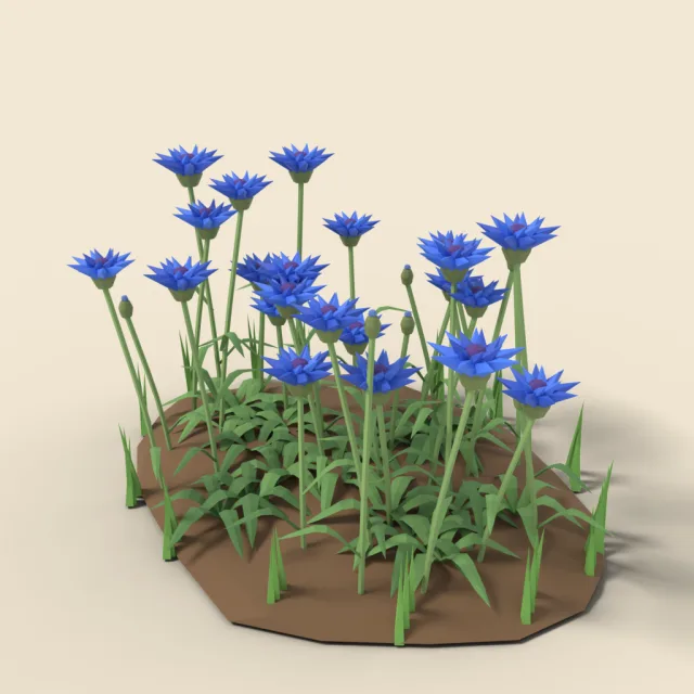Blue cornflower patch