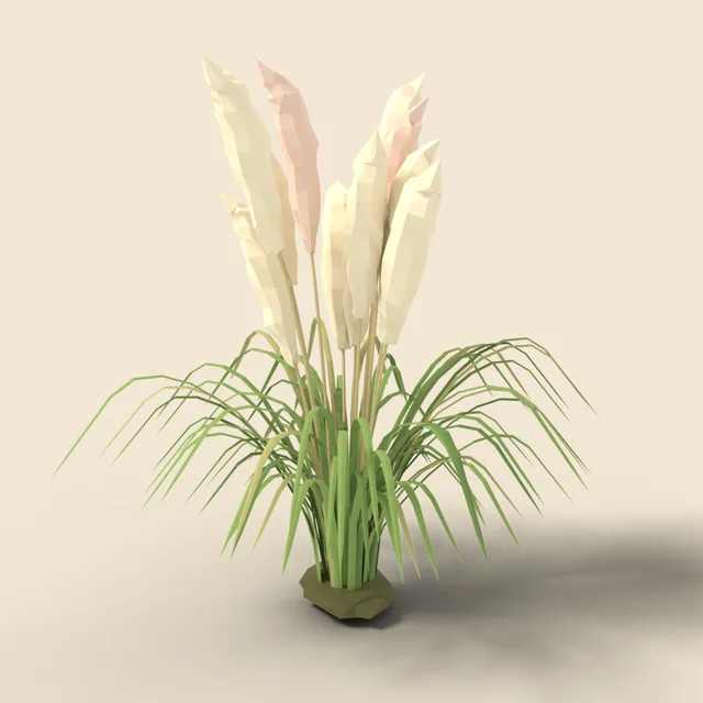 Clump of tall pampas grass