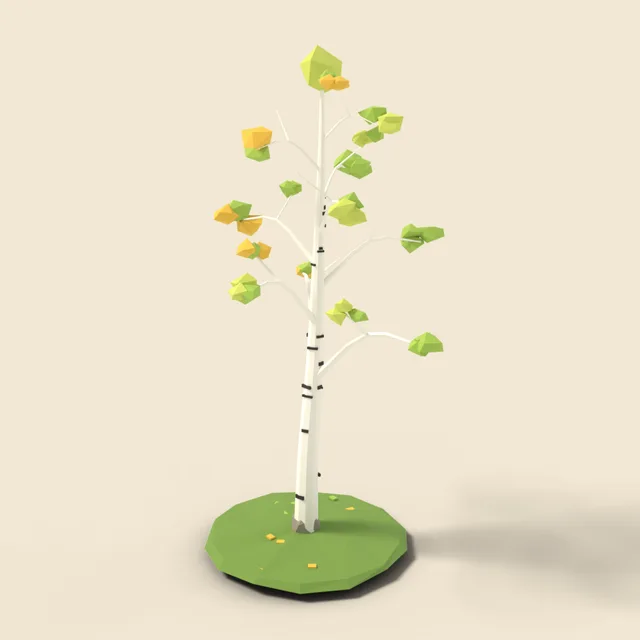 White birch tree with sparse leaves