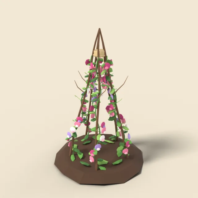 Sweet pea vines on twig teepee
