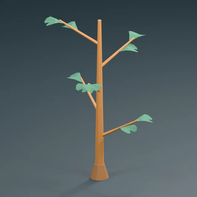 bilobed_fan_leaf_ginkgo_sapling