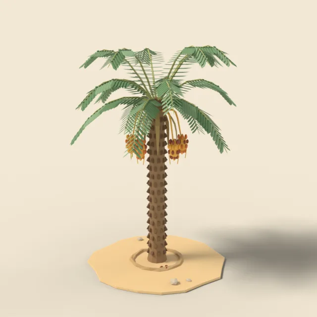 Date palm with fruit clusters