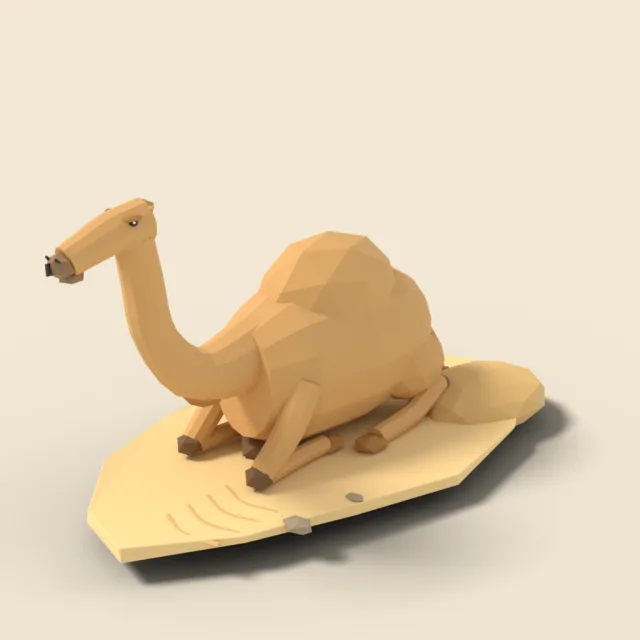Resting dromedary camel