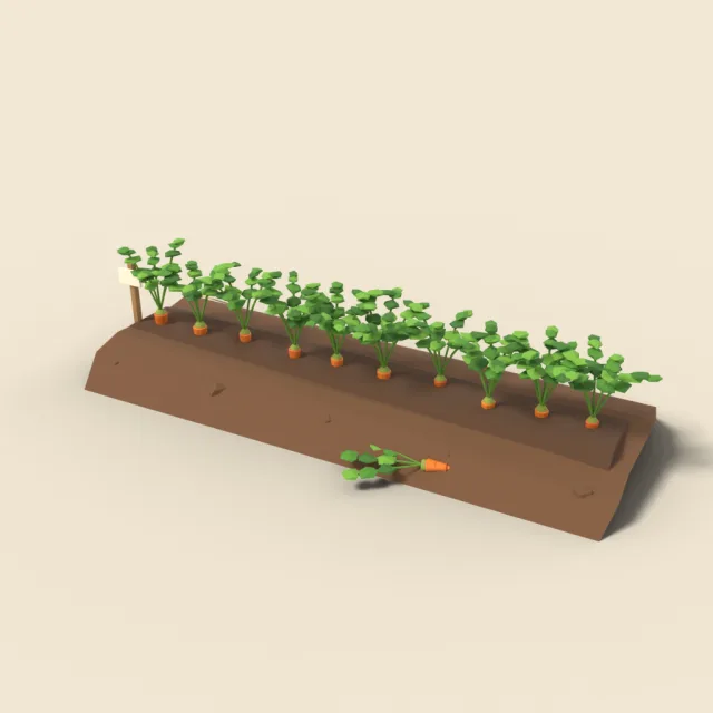 Carrot row with leafy tops