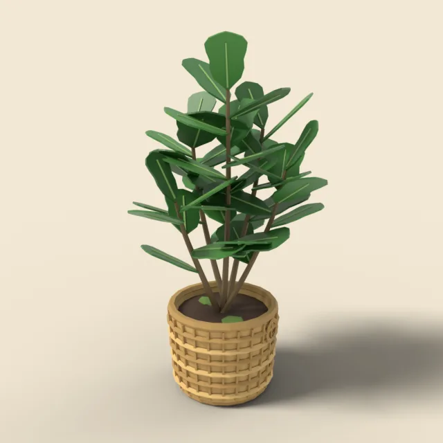 Fiddle leaf fig bush in basket