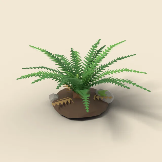 Sword fern clump