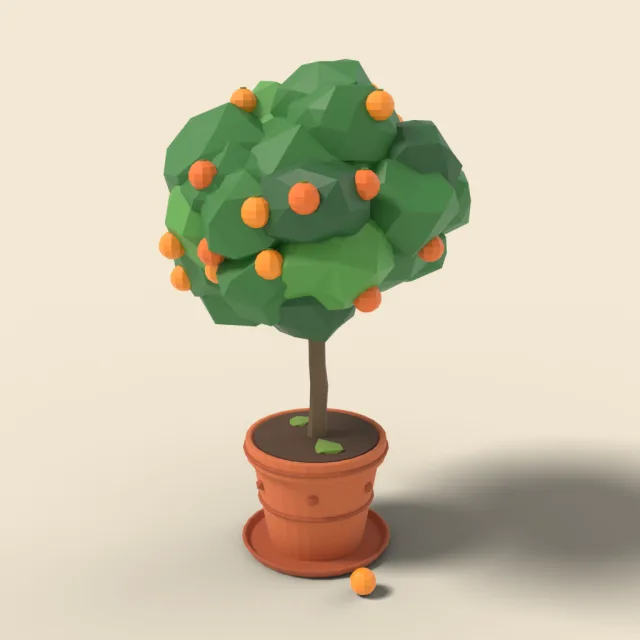 Orange tree in terracotta planter