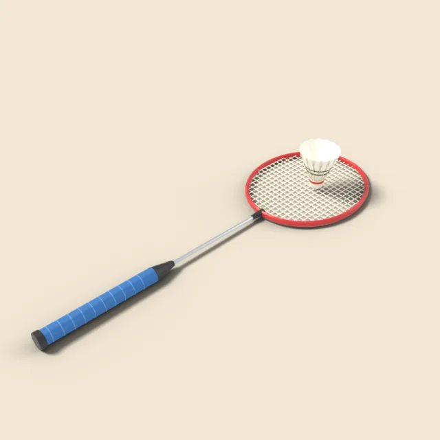 Badminton racket and shuttlecock