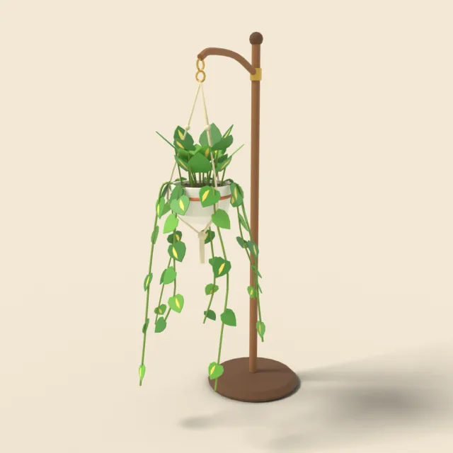 Golden pothos in hanging pot