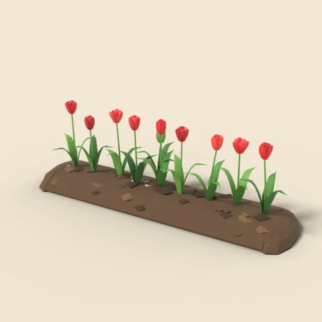 Red tulip row in soil