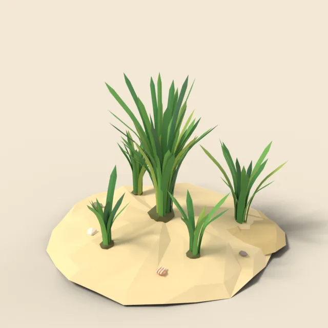 Seagrass clump on sand