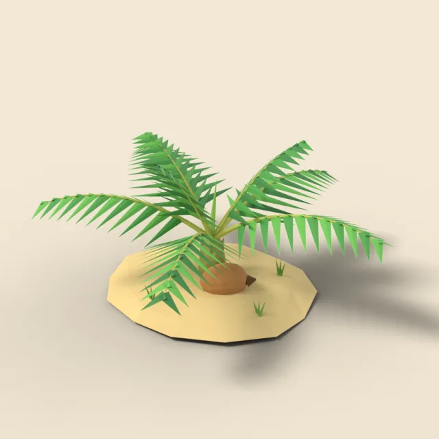 Young coconut palm sapling