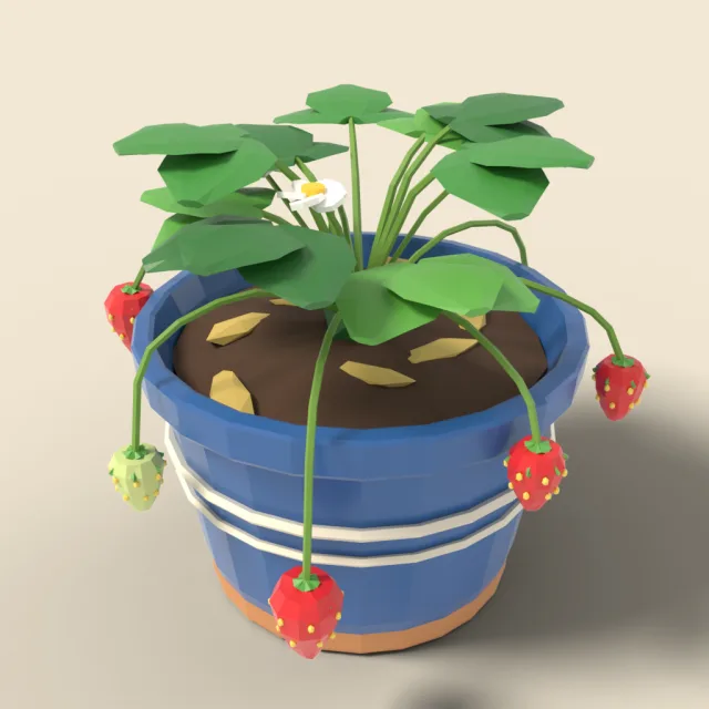 Strawberry plant in pot