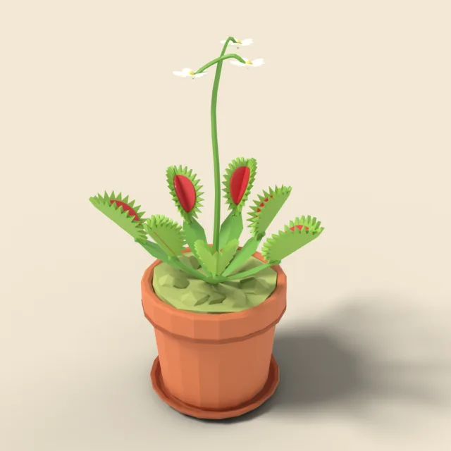 Venus flytrap in small pot