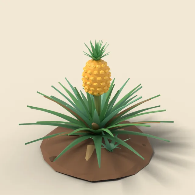 Pineapple plant with fruit