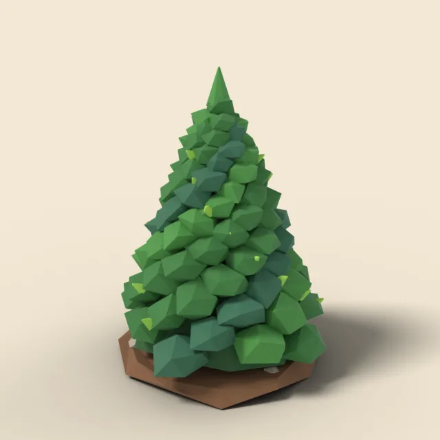 Cone-shaped evergreen shrub