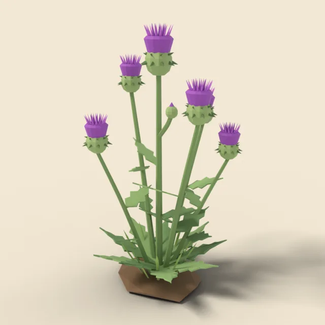 Thistle with purple heads