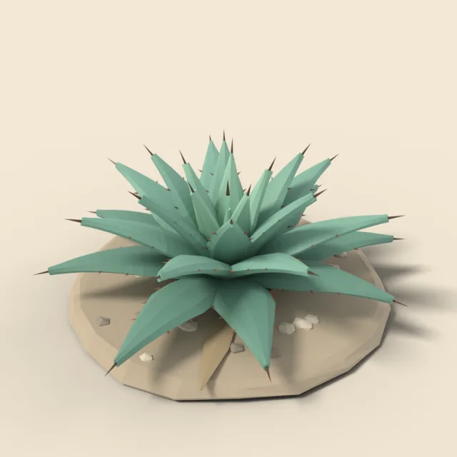 Agave plant with spiky leaves
