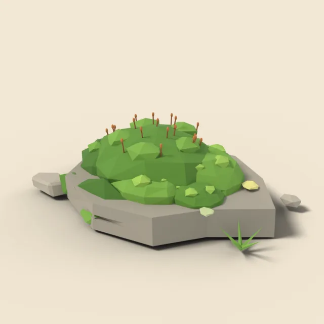 Moss mound on flat stone