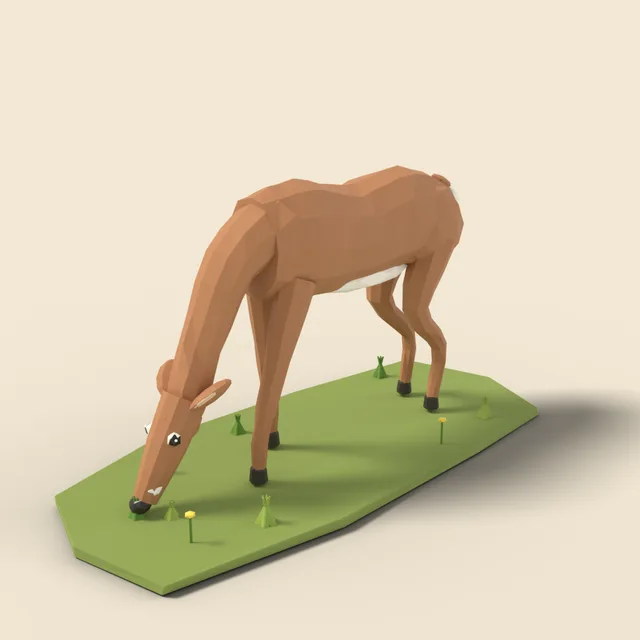 Grazing white-tailed deer