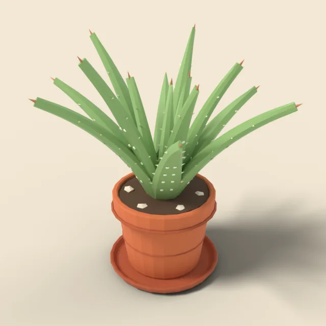 Aloe vera in clay pot