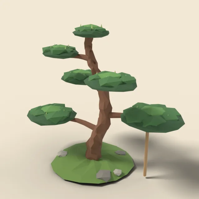 Japanese pine with flat layered branches