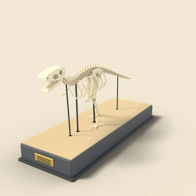 Dinosaur skeleton display