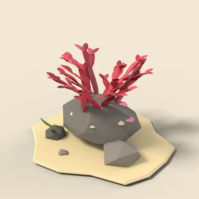 Red seaweed fronds on rock