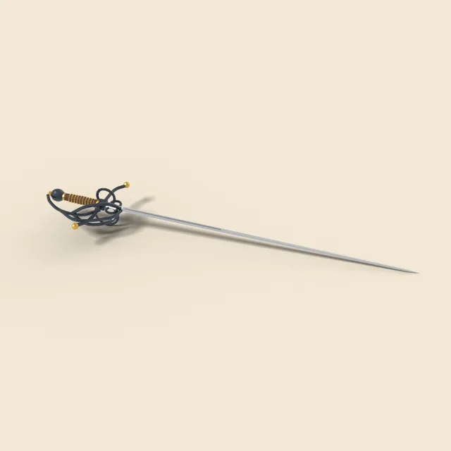 Rapier with swept hilt