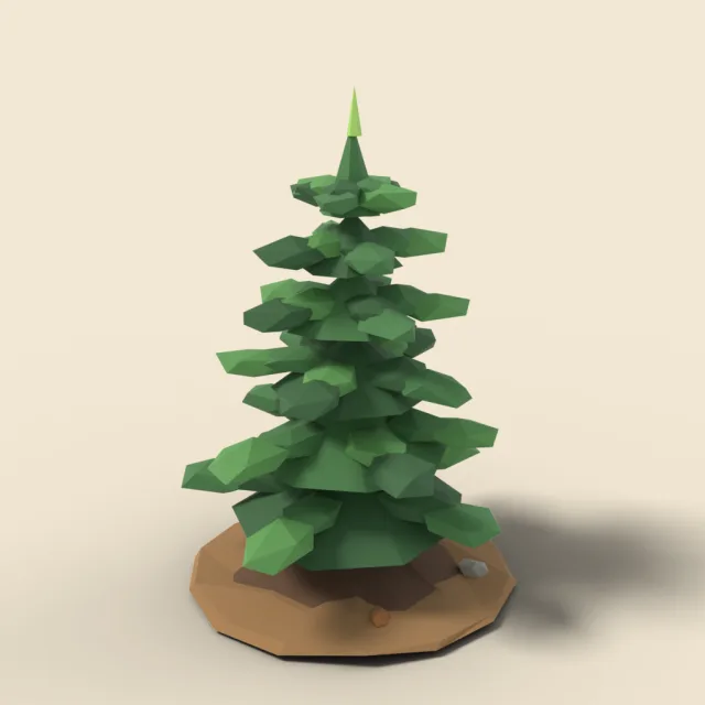 Small pine sapling
