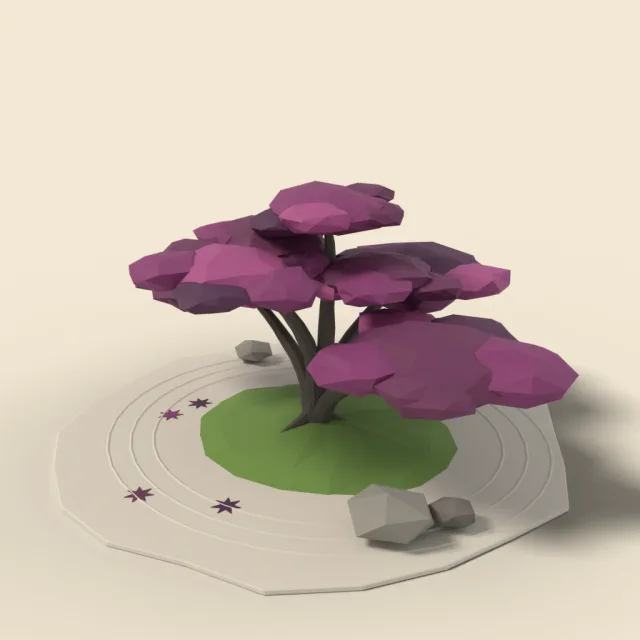 Japanese maple with purple leaves