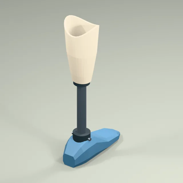 Below-knee prosthetic display with hollow socket retained pylon and shaped foot