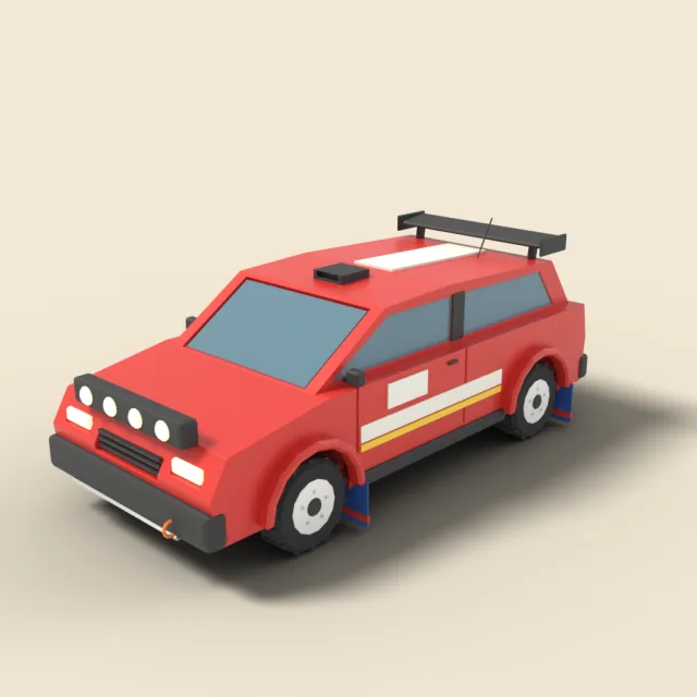 Rally car with mud flaps