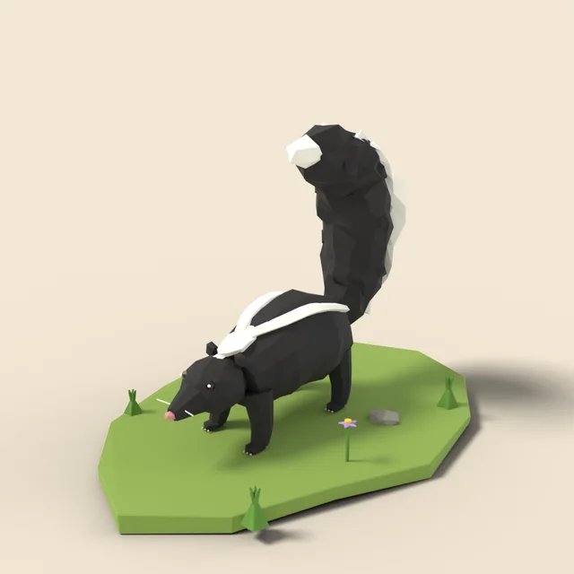 Striped skunk with raised tail