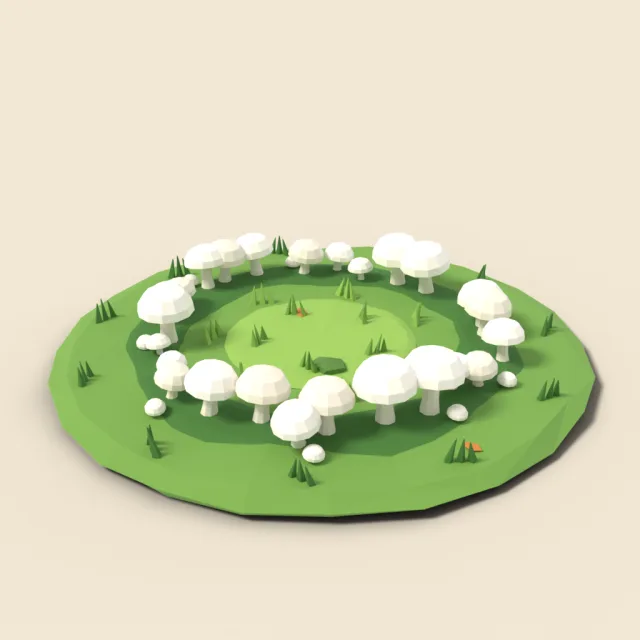 Fairy ring of white mushrooms