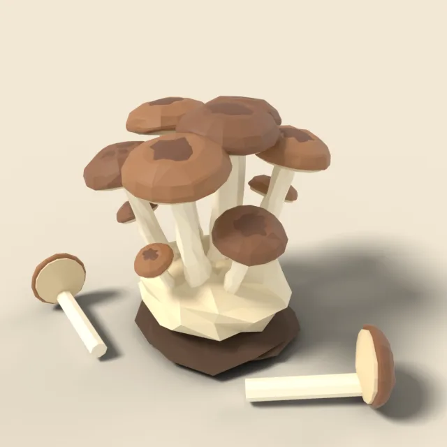 Mushroom cluster